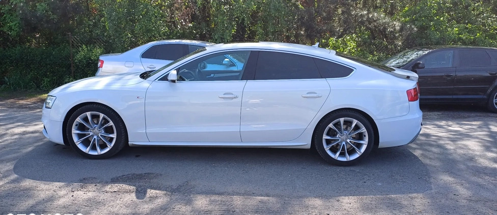 Audi A5 cena 46900 przebieg: 163000, rok produkcji 2012 z Leszno małe 211